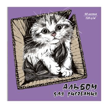 Альбом д/рисования 40л. "Милый котик" 170х170