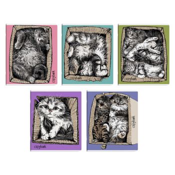 Тетрадь 48л. клетка "Жизнь котов"