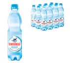 Вода детская "Черноголовская" 0,5л негазированная