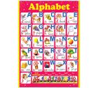Плакат "Alphabet" 490х690