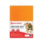 Цветной фетр 10л. 10цв. А4 "Brauberg.Остров сокровищ" летний