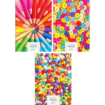 Тетрадь 96л. клетка А4 "Яркое вдохновение"