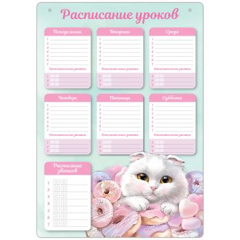 Расписание уроков А3 "Кот с пончиком"