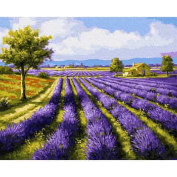 Картина по номерам "Лавандовое поле" 40х50см (27 цветов)