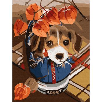 Картина по номерам "Озорной щенок" 15х20см (18 цветов)