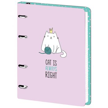 Тетрадь 120л. А5 "Meshu. Right Cat" матов. ламинация, на кольцах