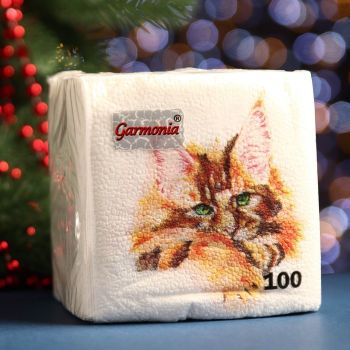 Салфетки бумажные 24х24см 100шт.