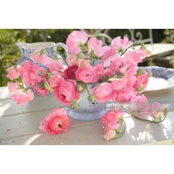Картина по номерам "Прекрасные розовые розы" 40х50см
