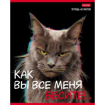 Тетрадь 48л. клетка "Вы все меня бесите"