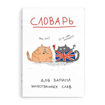 Тетрадь - словарь 24л. для записи иностранных слов "Учёные коты"