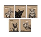 Тетрадь 48л. клетка "Эмоциональные коты"