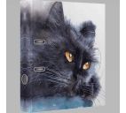 Регистратор 75мм "deVente Black Cat"