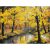 Картина по номерам "Осенний лес" 30х40см на картоне, акрил, кисти