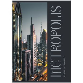 Тетрадь 160л. А4 клетка "Мегаполис" на кольцах