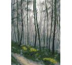 Картина по номерам "Таинственный лес" 40х30см
