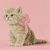 Алмазная мозаика "Кошечка с розовым бантиком" 30х30 см